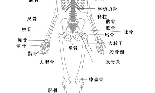 脚底出汗有酸臭味是什么原因-脚底出汗发冷是什么原因-专业脚底出汗怎么治疗最有效平台-脚底出汗湿漉漉的怎么回事